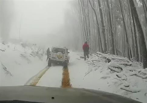 Ich sags ja immer wieder: Handbremse anziehen!