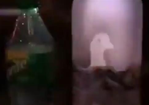 Gans komische Flasche