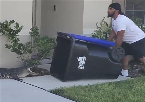 Alligator mit Mülltonne fangen