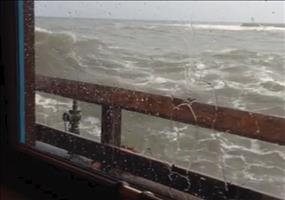 Toller Service: Frisches Seafood im Bordrestaurant