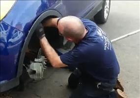 Eichhörnchen Nest im Radkasten