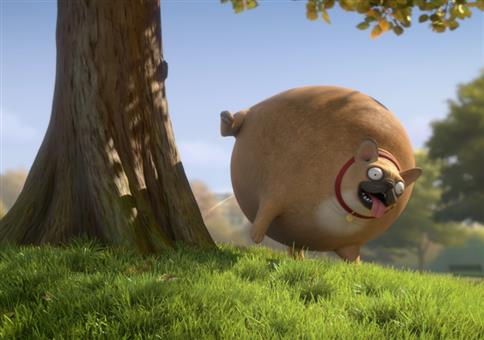 Rollin' France - Wenn alle Tiere rund wären