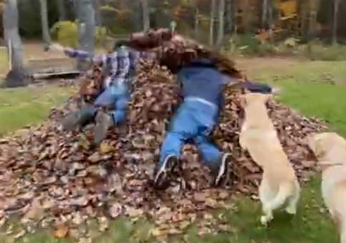 Herbstfreuden mit den Hunden