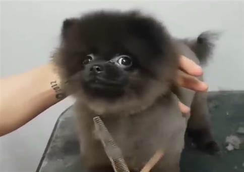 Wenn ihr ganz schnell gute Laune braucht!