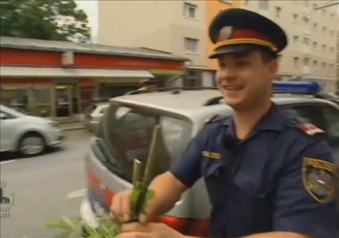 Yo! Was ist das für Gras?