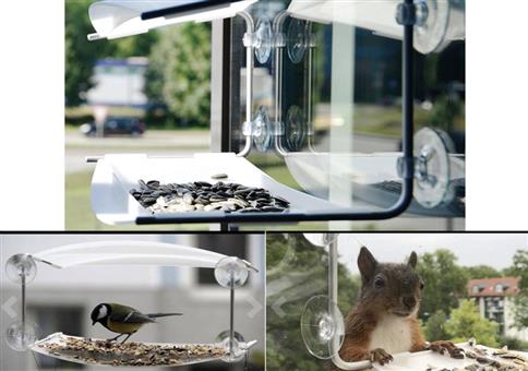 Vogelhaus Piep Show für die Scheibe