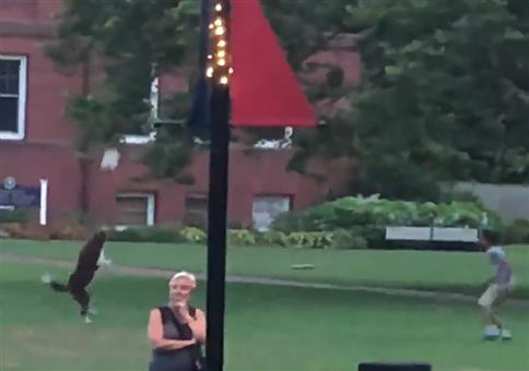 Mann spielt mit Hund Ball