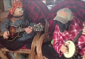 Hunde spielen Banjo