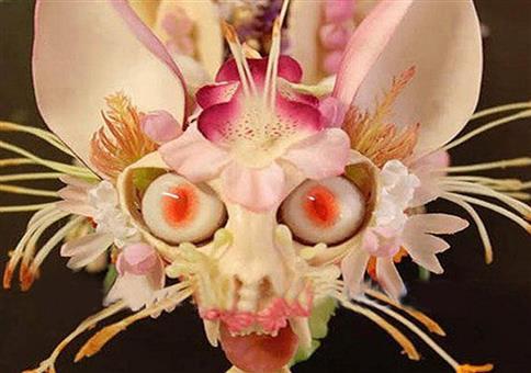 Was ist das denn für eine Orchideenart?