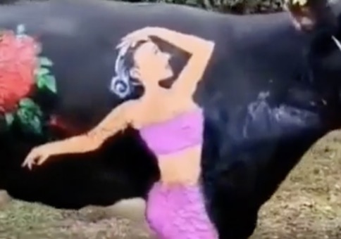 Wer hat denn hier die Kuh bemalt?