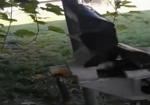 Fast wie in Final Destinaton