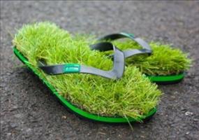 Gras Flip Flops