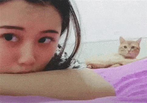 Hornoxe.com - Gifdump #315 - Animierter Picdump