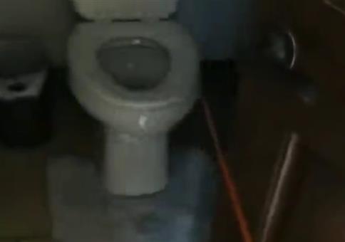 Da ist ein Eichhörnchen in der Toilette