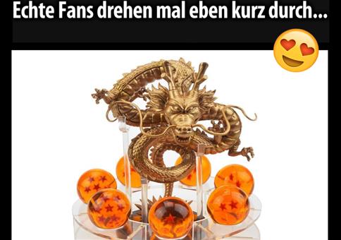 Ich geb mir die Kugel! 