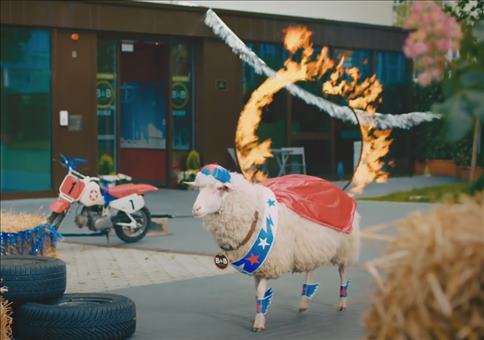 Das Schlaf ist Feuerreif