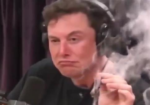 Elon Musk als Baby - Deepfake