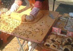 Chinesisches Essen auf der Straße VS Bienen