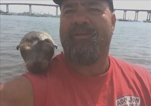 Mein neuer Freund die Robbe