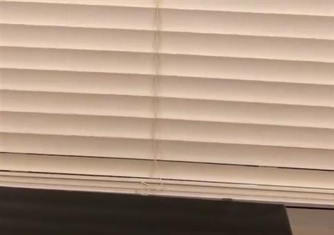 Jalousie hochziehen - 20th Century Fox Edition