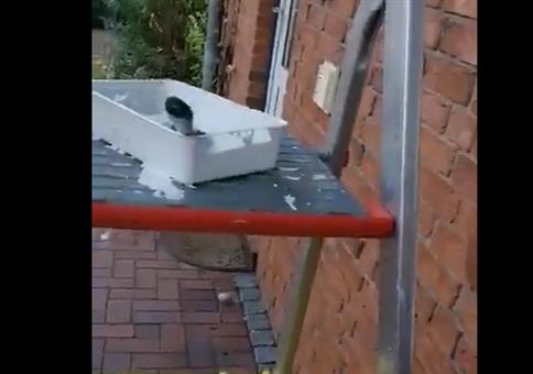 Der Dachunterstand müsste mal wieder gestrichen werden