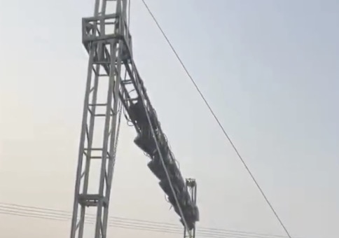 Stabile Grünpflanze