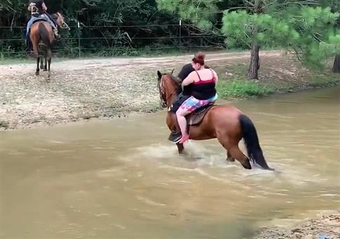 Vollschlanke Menschen reiten auf Pferd durchs Wasser