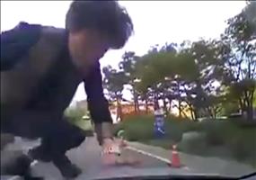 Da wirft sich schon wieder jemand vor ein Auto