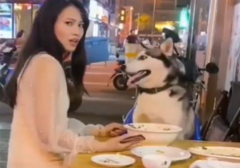 Hund beim Essen