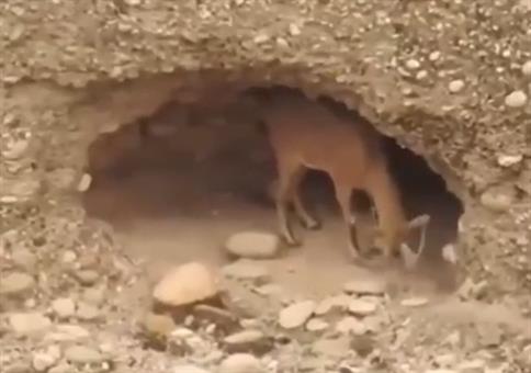 Meine eigene kleine Höhle