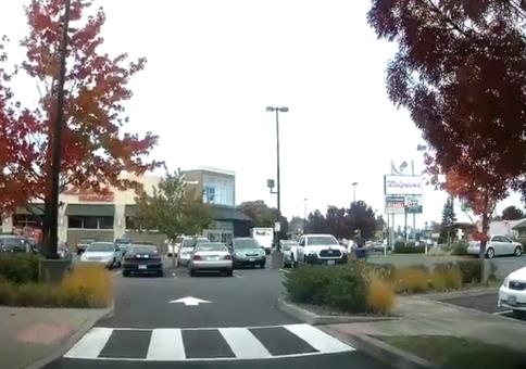 Vogel zum Einkaufen mitnehmen