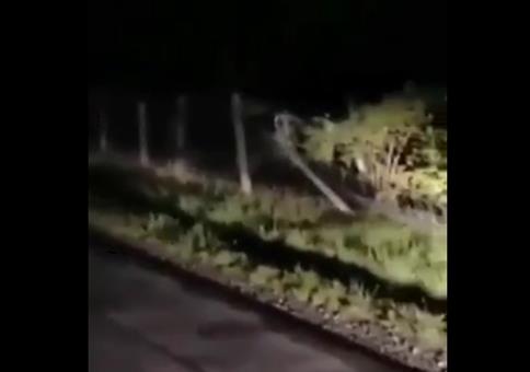 Krasse Horror-Geräusche aus der Dunkelheit