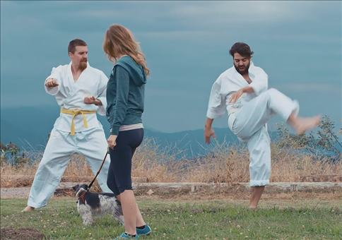 Stop Motion Karate