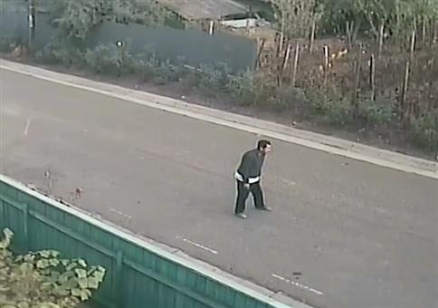 WTF zum Wochenende: Der Typ, die Kutsche und das Auto