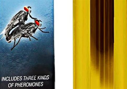 Frauenlockstoff mit verschiedenen männlichen Pheromon