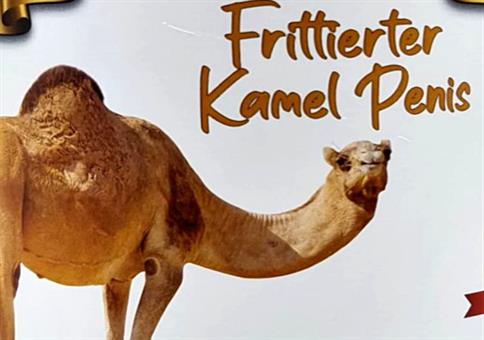 Frittierter Kamel Penis