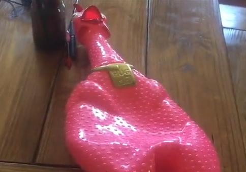 Wie machen Schwein, Kuh und Huhn?