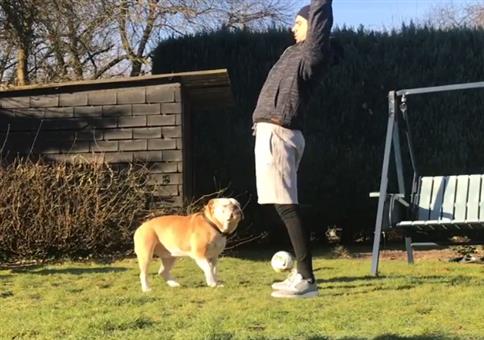 Der perfekte Yogapartner