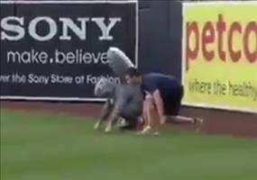 Das schnellste Eichhörnchen der Welt