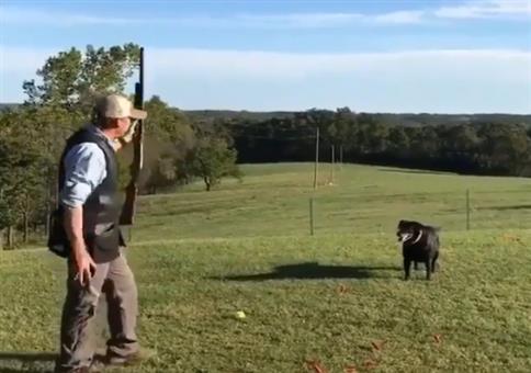 Tontaubenschießen like a boss