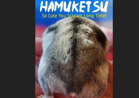 Absurd: Hamsterärsche
