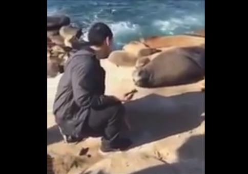 Ey, keine Selfies hier!