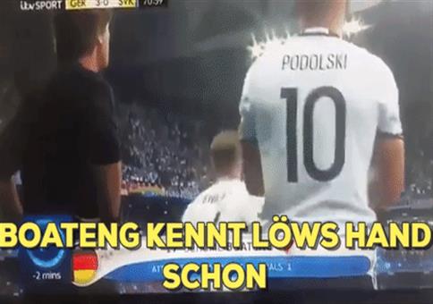 Hornoxe.com - Gifdump #206 - Animierter Picdump