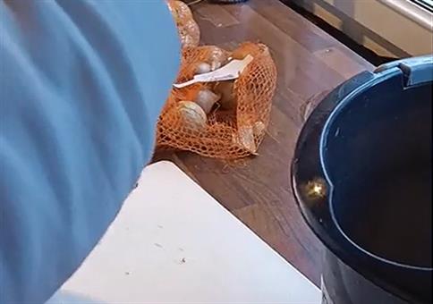 Trick: Gegen Tränen beim Zwiebeln schneiden