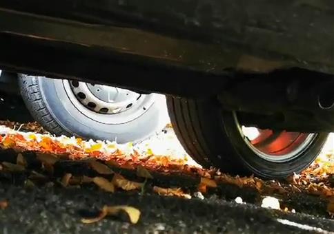 Die haben meinen Kat geklaut!