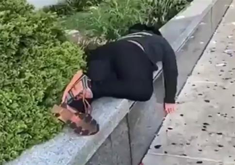 Ist das ekelhaft! Fliegen am Arsch!