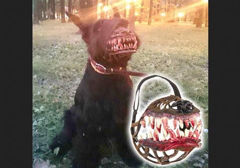 Tötungsmaschine in 3..2...1