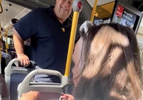 Leicht hysterische Frau im Bus