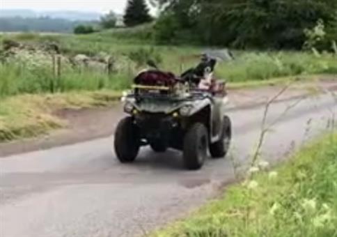 Wenn der Hütehund einen verdammt guten Job macht