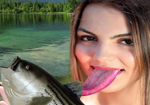 Wieso leckt sie am Fisch? 🐟